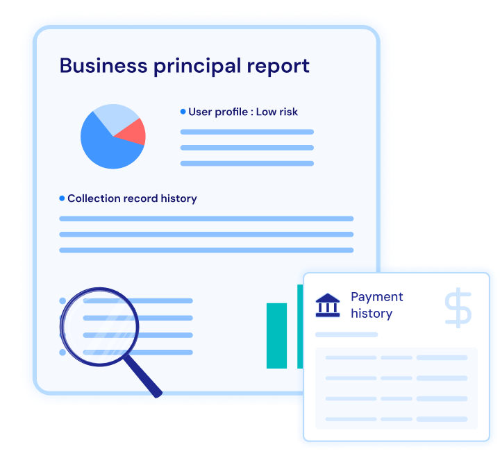 risk profile detection with business principal reports